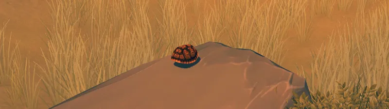 Turtle